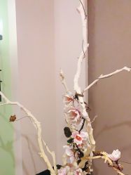 -盘子女人坊古装写真摄影(天津总店)