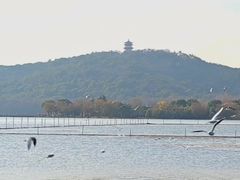 -渤公岛生态公园