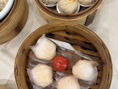-益健美食大广场(北岭店)