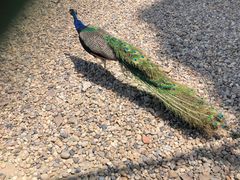 -南京金牛湖风景区