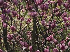 -白塘生态植物园