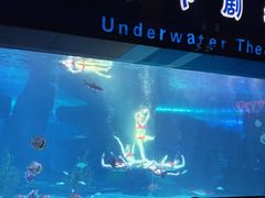 -泉城欧乐堡海洋极地世界
