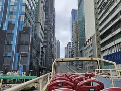 -Big Bus Tours 敞篷观光巴士