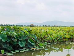 -漩门湾国家湿地公园