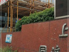 -上海市东方医院(总院)