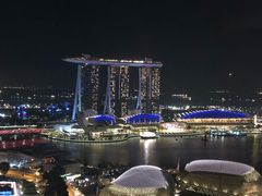 -新加坡瑞士史丹福酒店