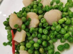 -苏启渔港(云南北路店)