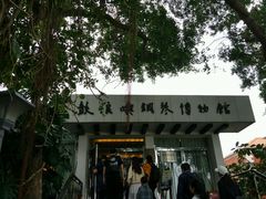 -鼓浪屿钢琴博物馆