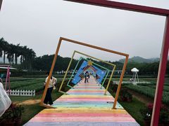 -盈香心动乐园