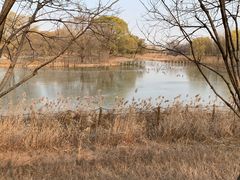 -北京麋鹿生态实验中心