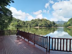 -广州市石门国家森林公园