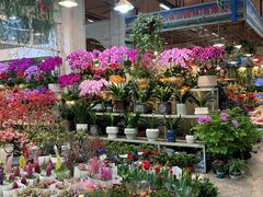-双季花艺园艺市场(浦东店)