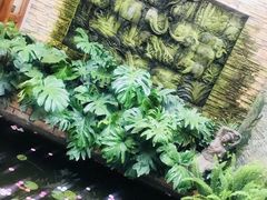 -兰纳泰式spa(古城店)