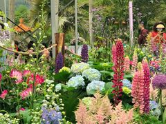 -深圳仙湖植物园