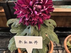 -小榄人家酒楼(民安店)