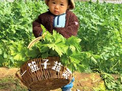 -意大利农场度假村