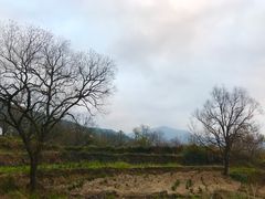 -塔川景区