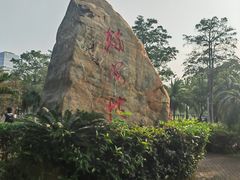 -万绿园