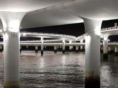 -演武大桥观景平台