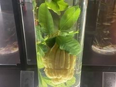 -广东中医药博物馆