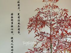 -小茶闲舍·观景商务茶馆(广州塔店)