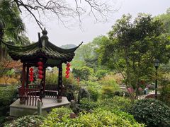 -西湖游船