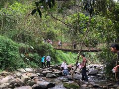 -梧桐山风景名胜区