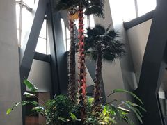 -中央广播电视总台(光华路办公区)