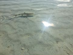 -中央格兰德岛温泉度假酒店 - 全包