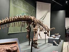 -遇见博物馆(遇见海洋沉浸式奇幻光影展)