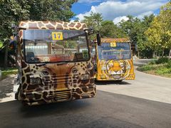 -清迈夜间动物园