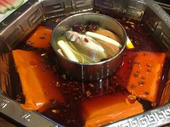 -蜀九香火锅(九眼桥店)