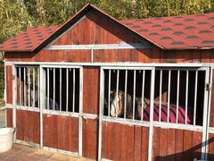 -上海崇明金茂凯悦酒店