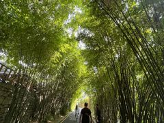 -贵阳市花溪国家城市湿地公园