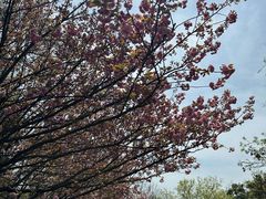 -南京市江宁方山