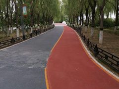 -大兴滨河森林公园