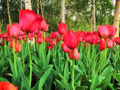 -长春公园(普阳街道)