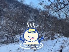-抱龙峪