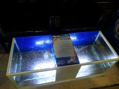 -家乐比水文化休闲广场(望花都店)