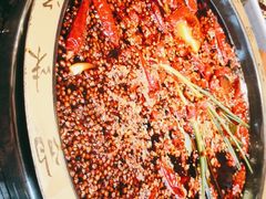 -一斗火锅·招财羊毛肚(上河城店)