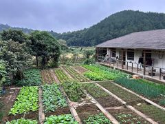 -柳湖沙月沙滩公园