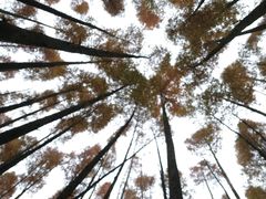 -山王坪喀斯特国家生态公园
