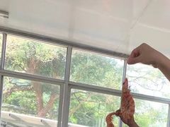 -洞背山庄(洞背院区式管理小区店)