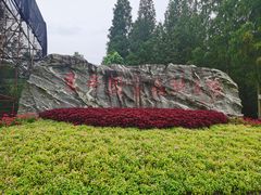 -东平国家森林公园