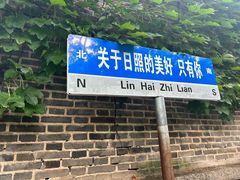 -日照海滨国家森林公园