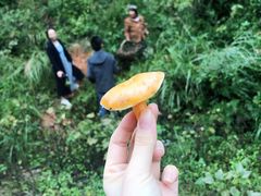 -崀山风景名胜区