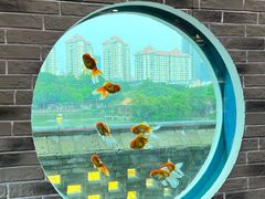 -珠海圆明新园