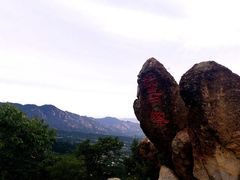-北京鹫峰国家森林公园