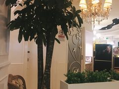 -花舍·新派粤菜·西餐·下午茶(亚运村·鸟巢店)