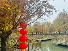 -五缘湾湿地公园